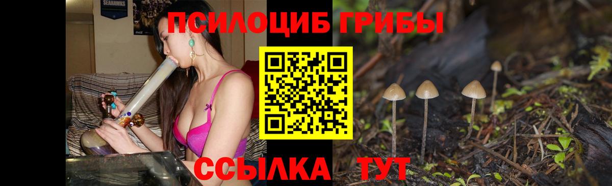 Псилоцибиновые грибы мицелий  Вход с VPN  Ростов-на-Дону 